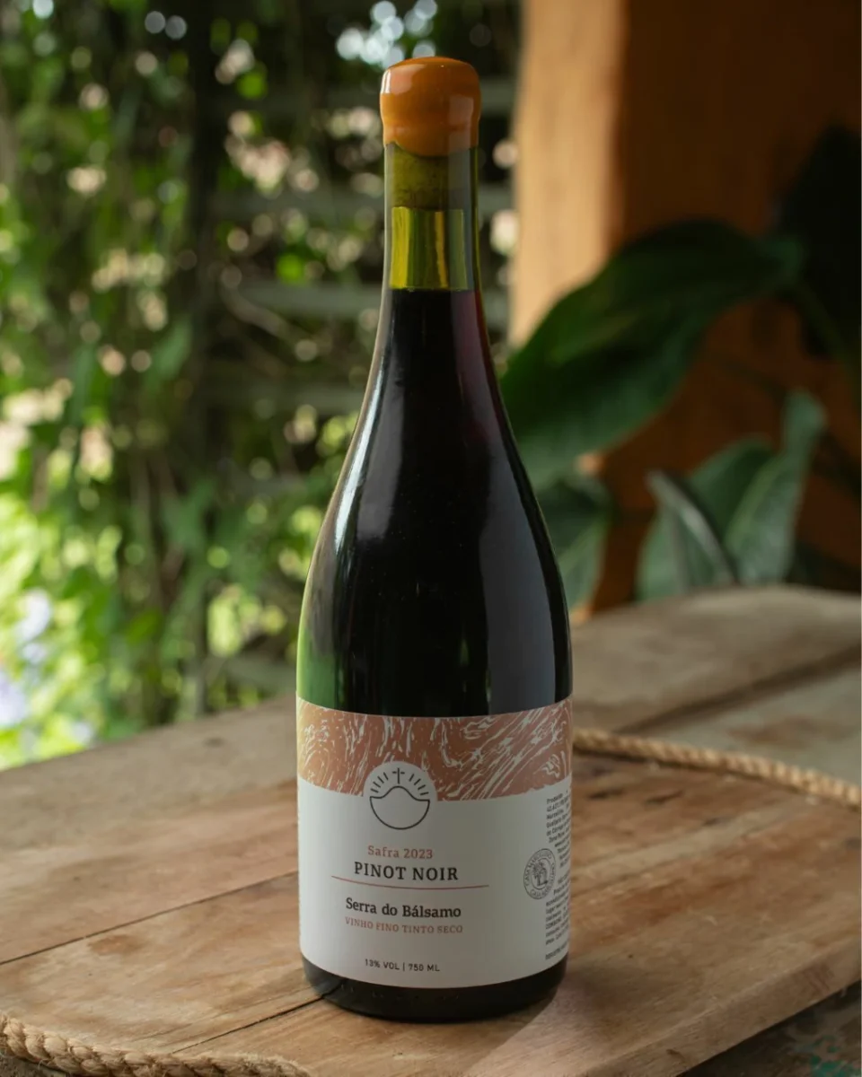 Vinho Tinto Pinot Noir | Safra 2023